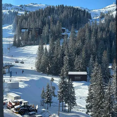 Katana-jahorinska ヤホリナ